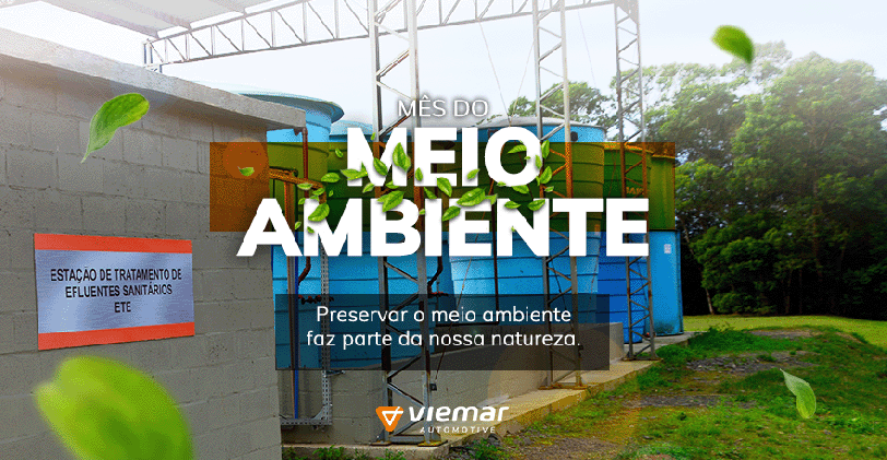 Mês do Meio Ambiente: conheça as ações e práticas sustentáveis da Viemar